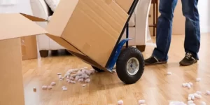 Local moving services in Dubai