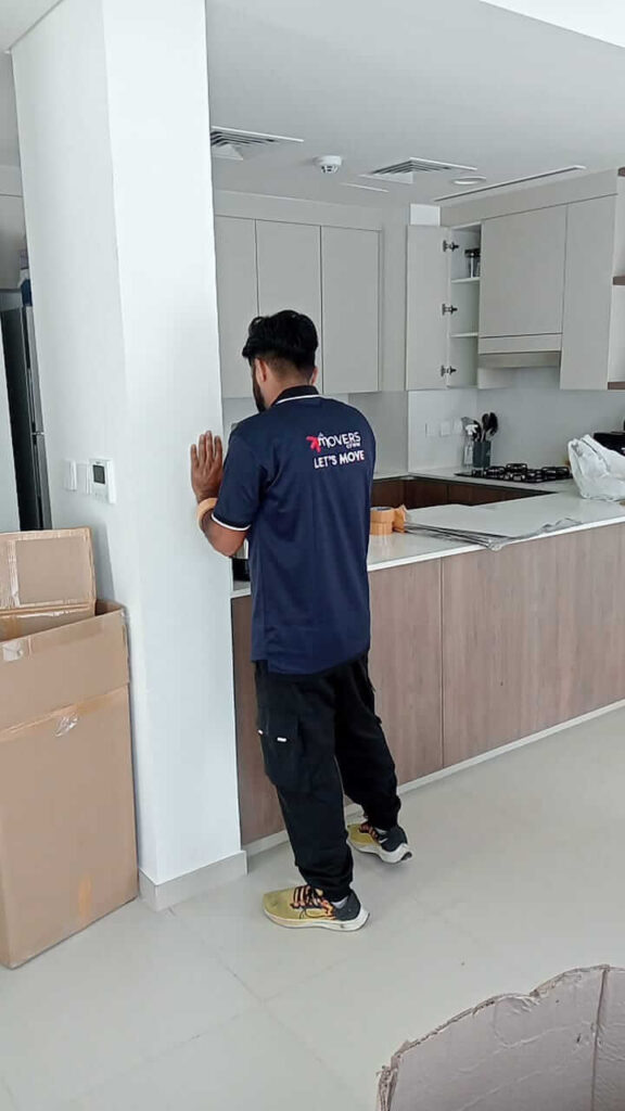 Professional Movers in Dubai