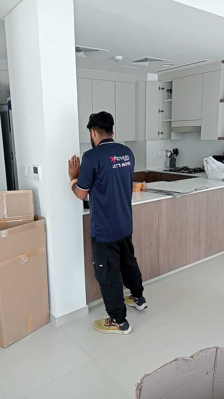 Professional Movers in Dubai