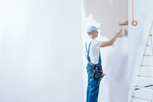 Need Assistance in Wall Painting?